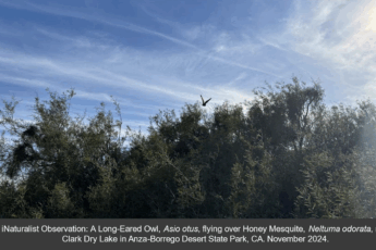 Screenshot 2025-05-05 at 4.20.57 PM